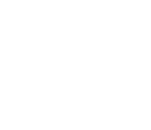 Taurian Technical Services